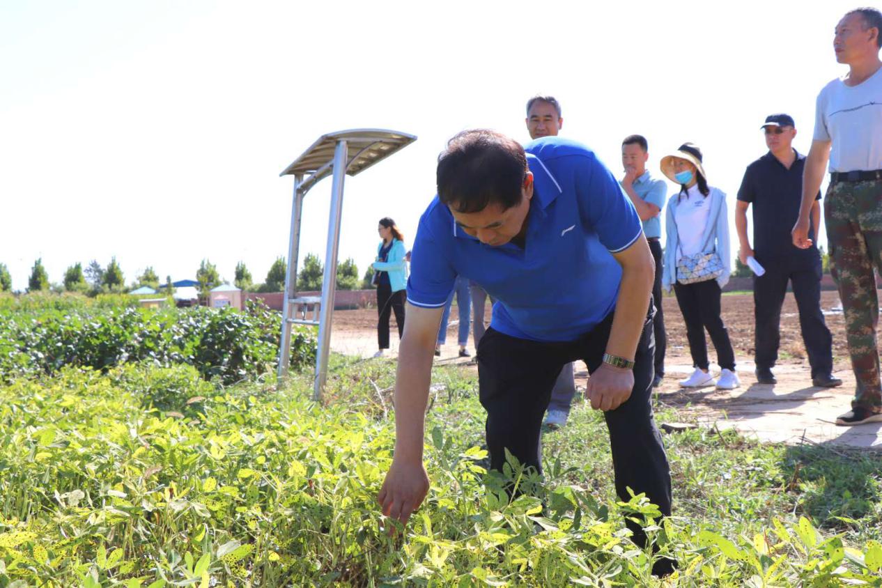 20200923181060926092.jpg 20200923181060926092.jpg