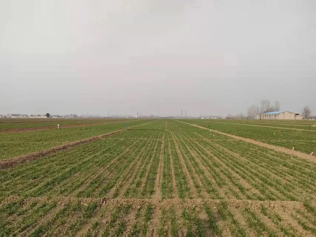 微信图片_20211207114804.jpg 微信图片_20211207114804.jpg