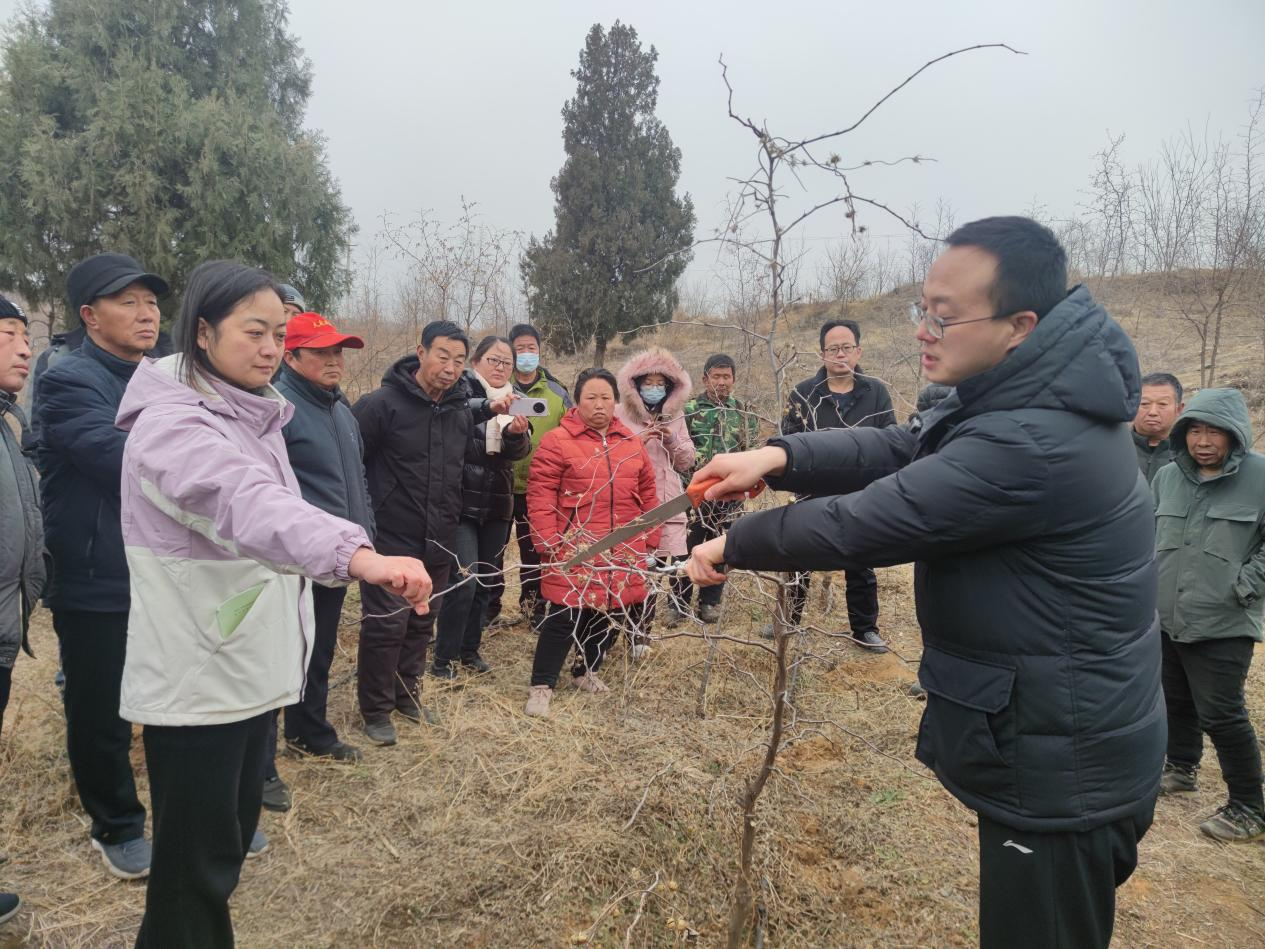 图片3.png 图片3.png