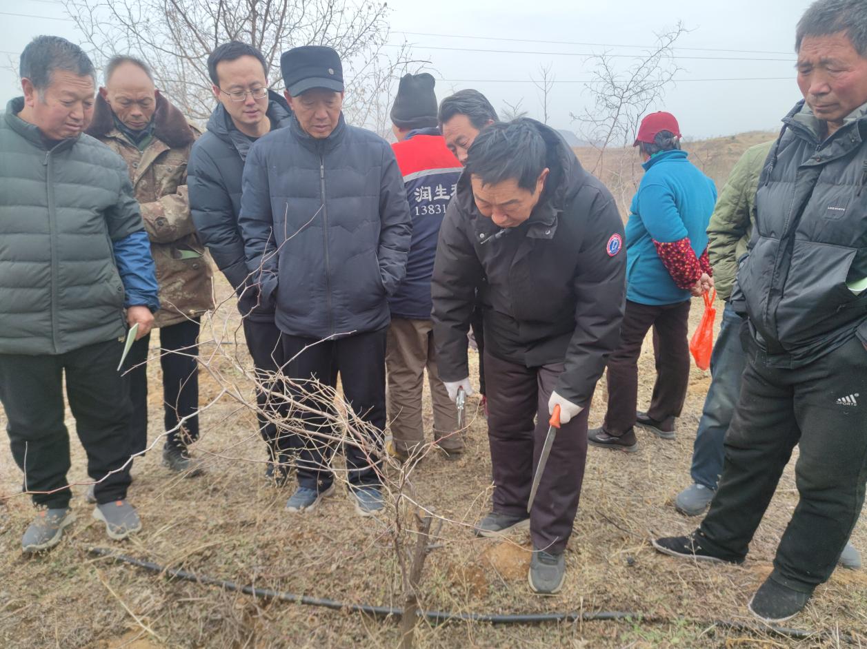 图片6.jpg 图片6.jpg