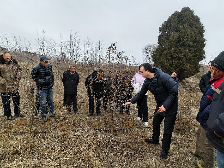 微信截图_20240226155048.png 微信截图_20240226155048.png