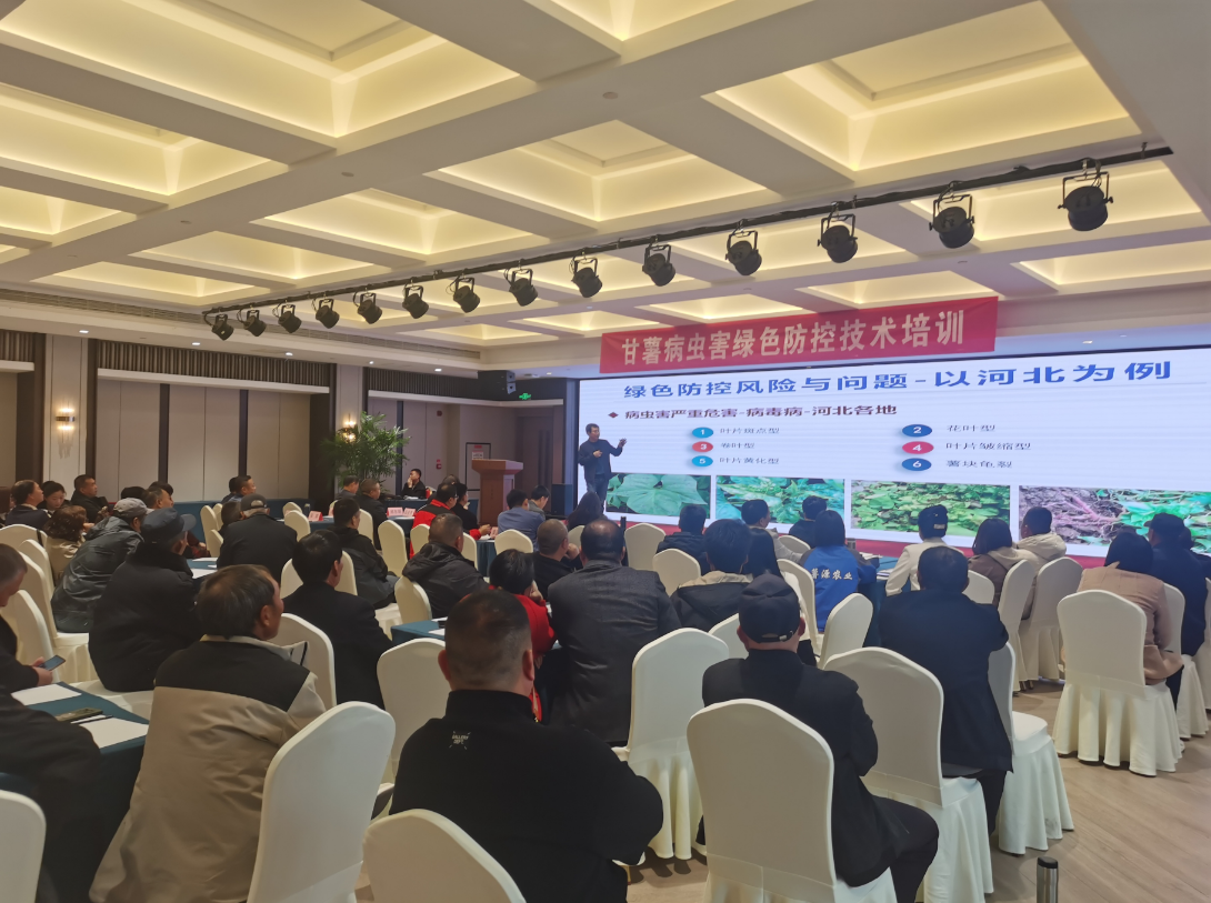 微信图片_20240329104217.png 微信图片_20240329104217.png