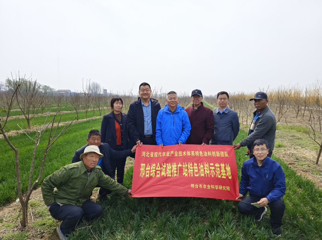 微信图片_20240401160030.png 微信图片_20240401160030.png