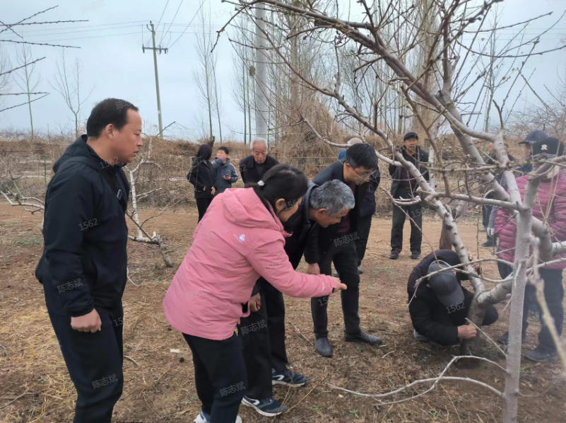 微信图片_20240401155428.png 微信图片_20240401155428.png