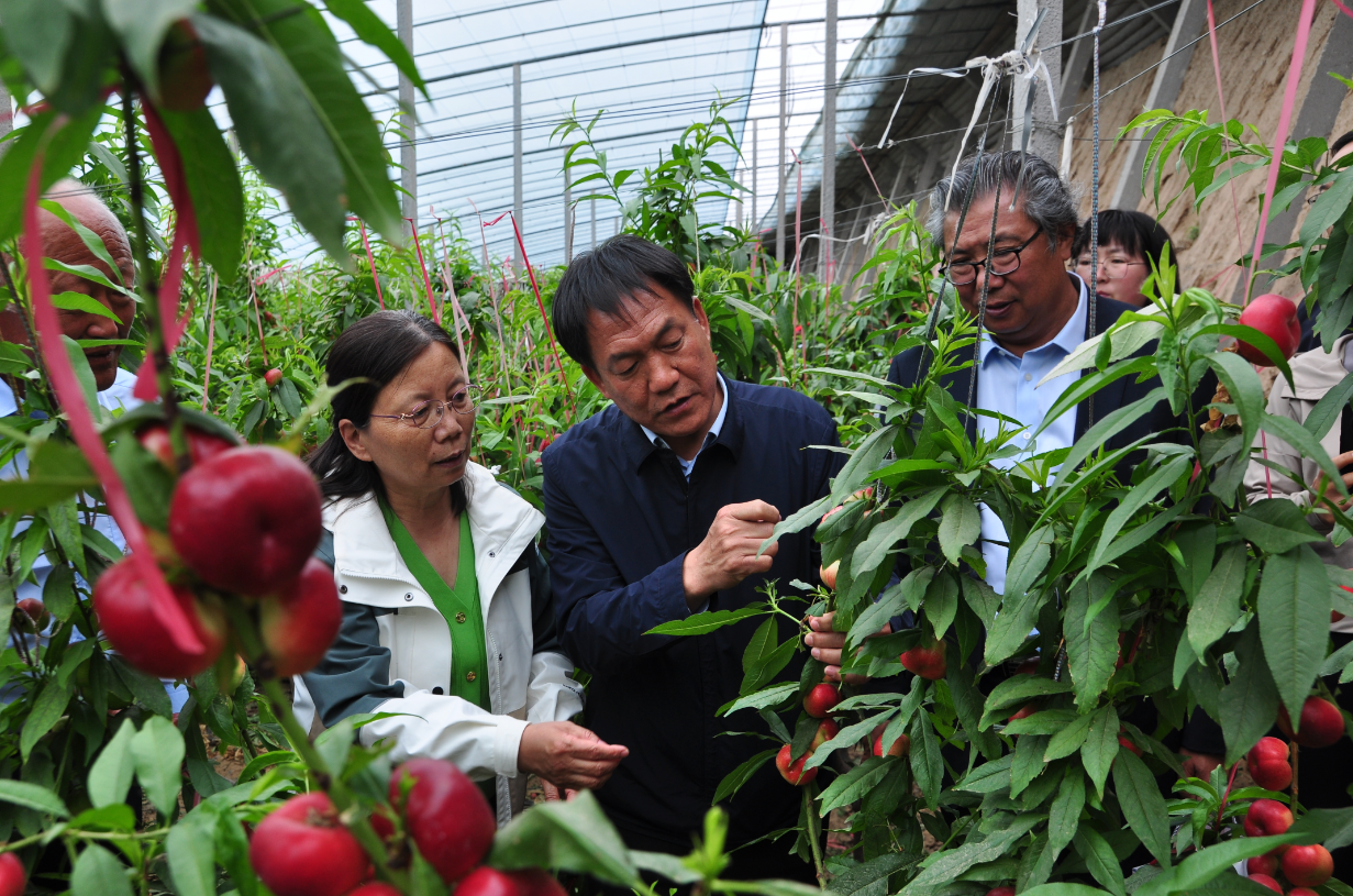 微信图片_20240506094602.png 微信图片_20240506094602.png