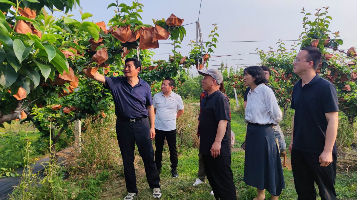 微信图片_20240523141930.png 微信图片_20240523141930.png