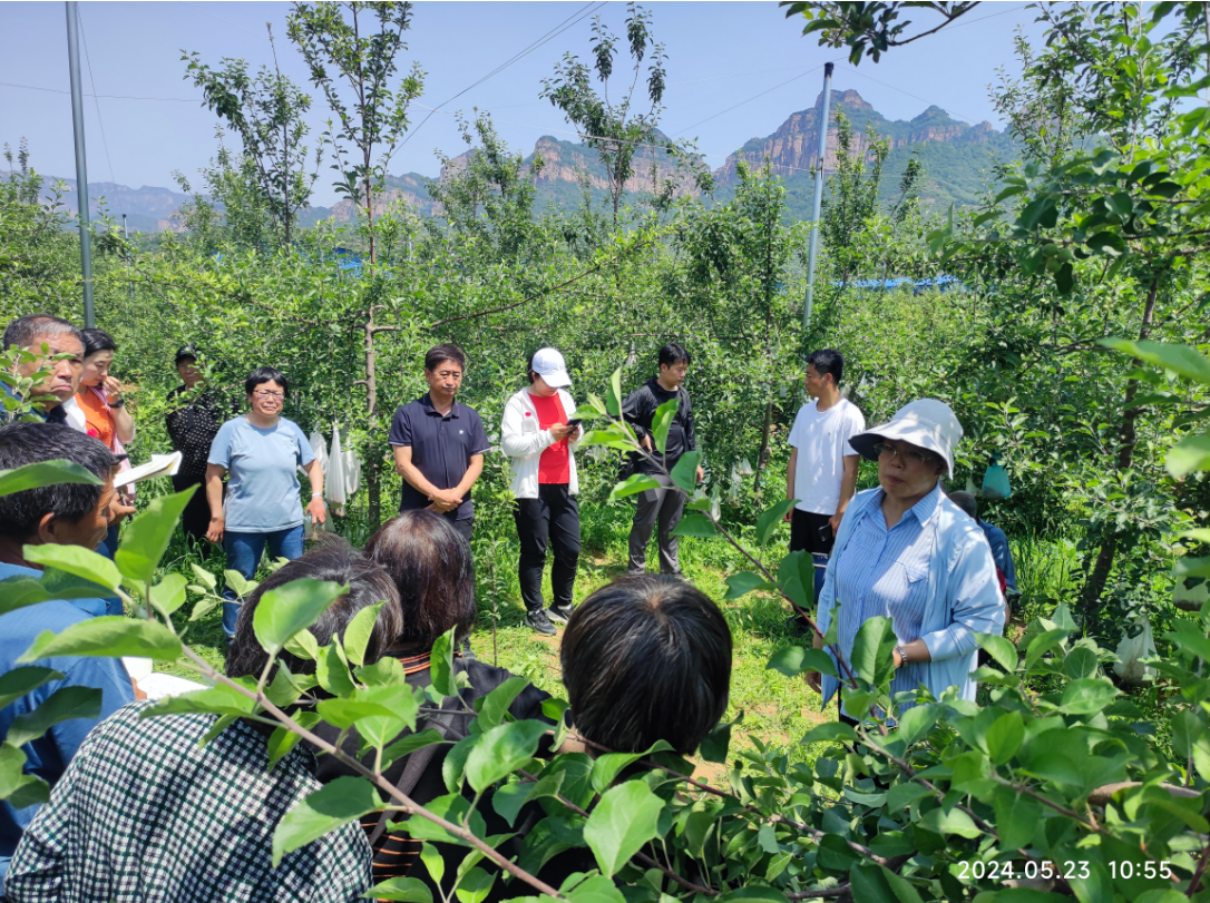 微信图片_20240524143347.png 微信图片_20240524143347.png