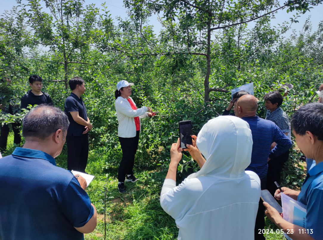 微信图片_20240524143354.png 微信图片_20240524143354.png