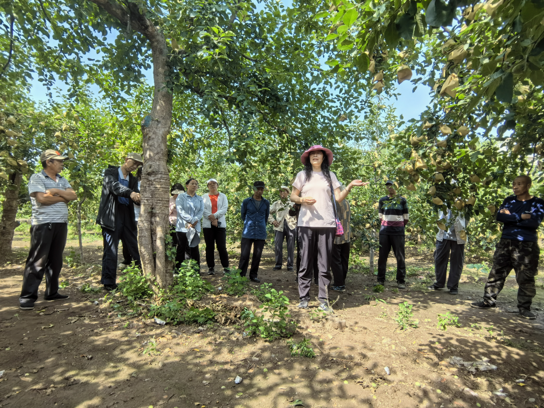 微信图片_20240524143339.png 微信图片_20240524143339.png