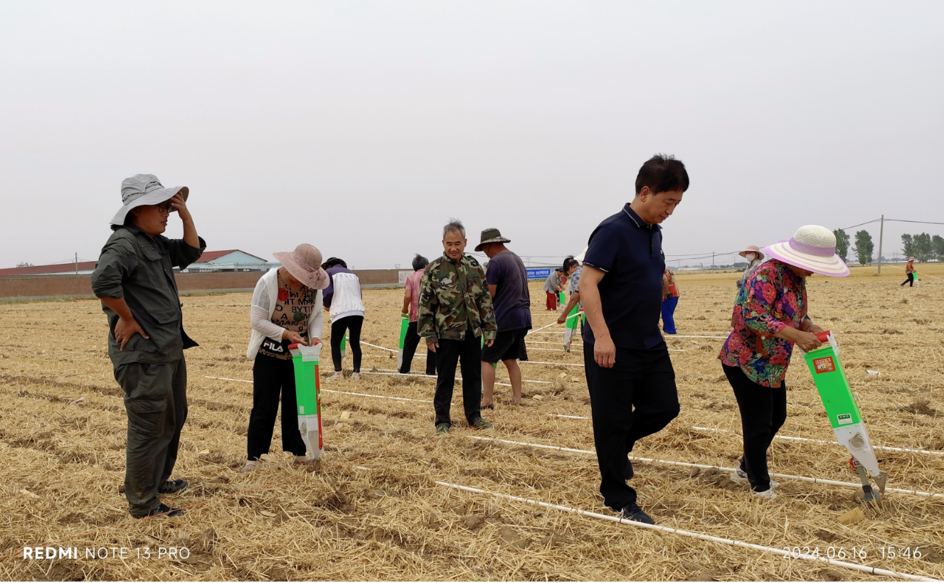 微信图片_20240617162619.png 微信图片_20240617162619.png