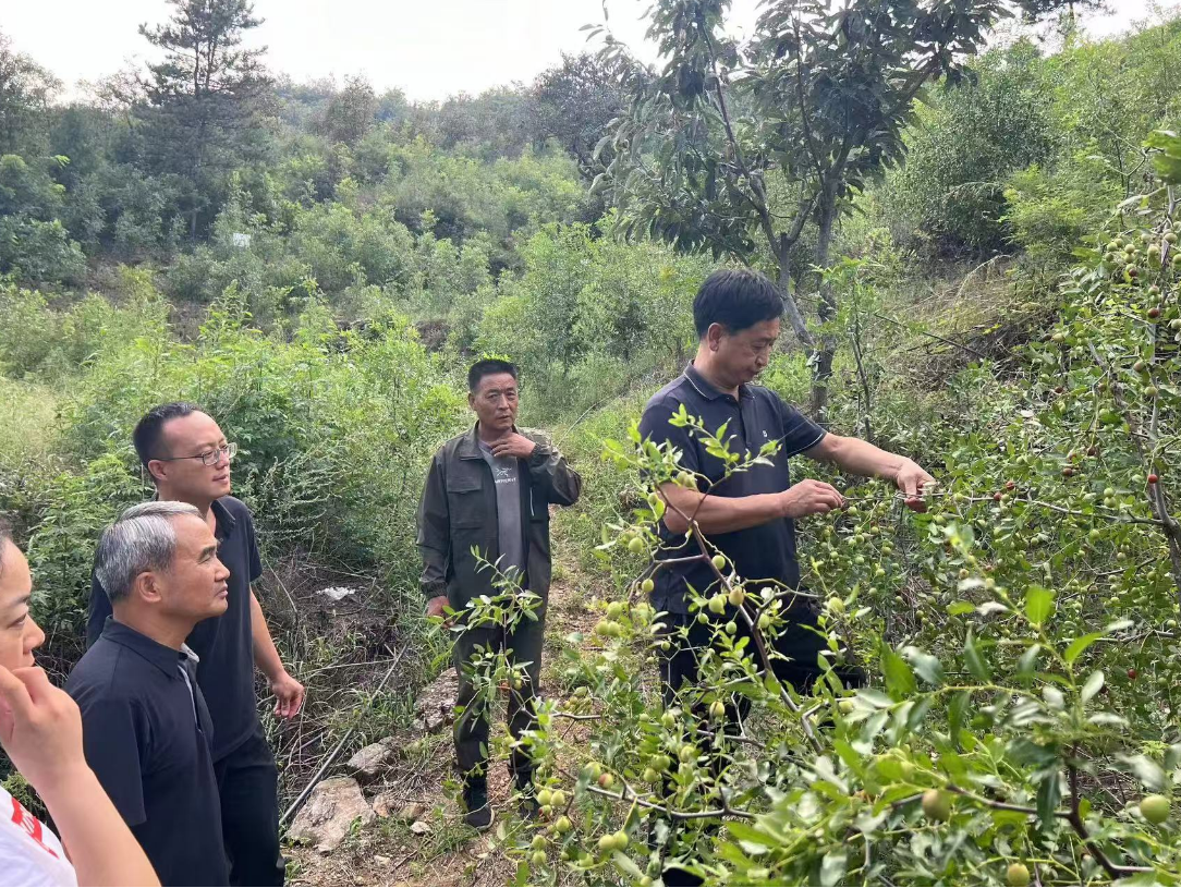 微信图片_20240906083400.png 微信图片_20240906083400.png