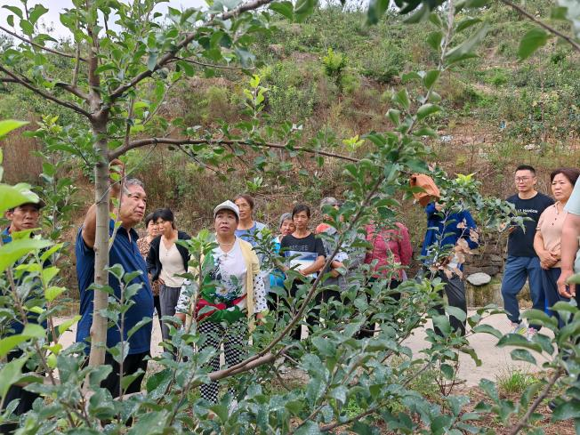 图片2.png 图片2.png