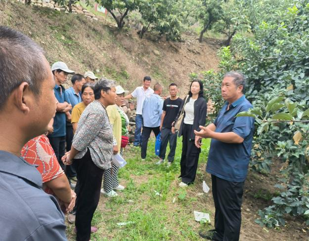 图片3.png 图片3.png