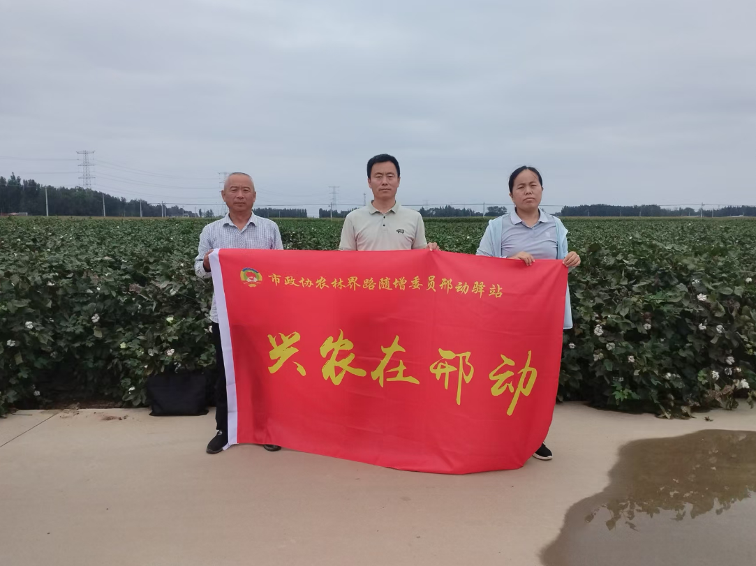 微信图片_20240911130335.png 微信图片_20240911130335.png