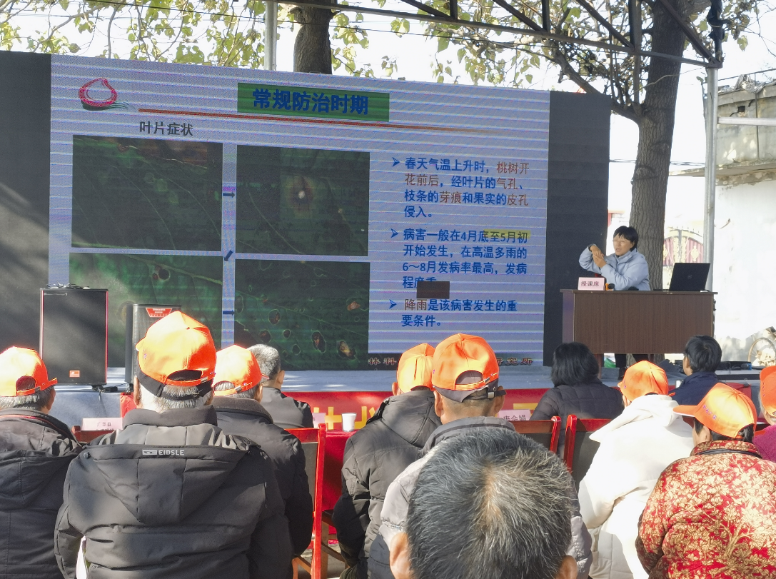 微信图片_20241125084843.png 微信图片_20241125084843.png