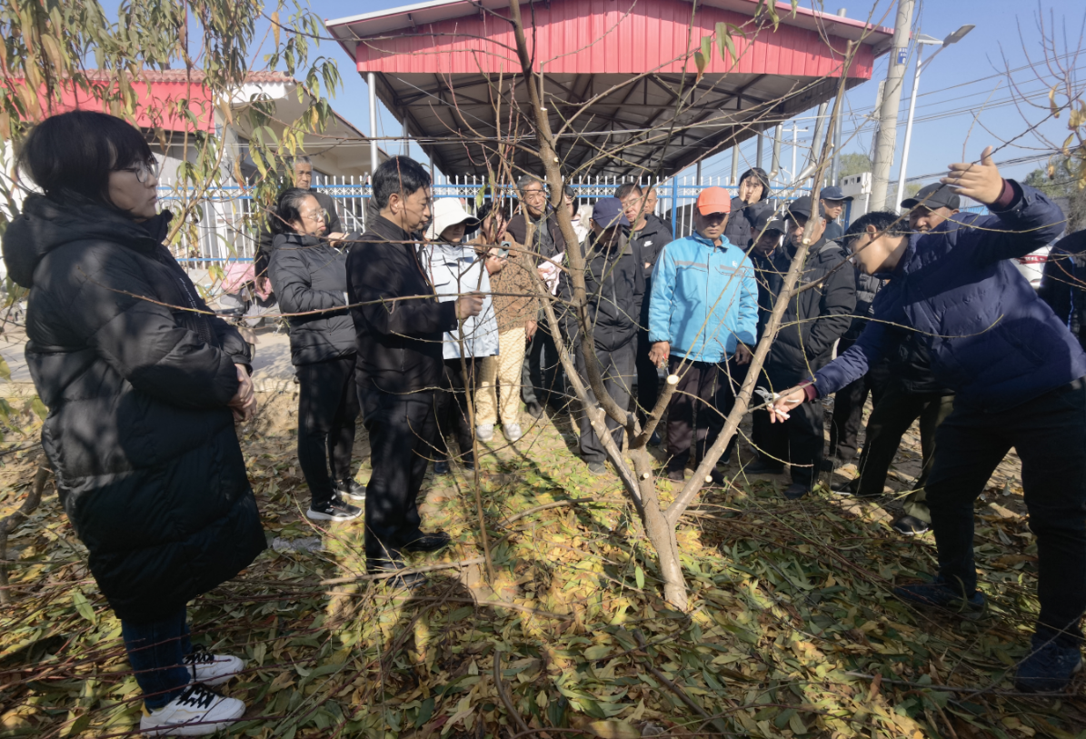 微信图片_20241125084857.png 微信图片_20241125084857.png