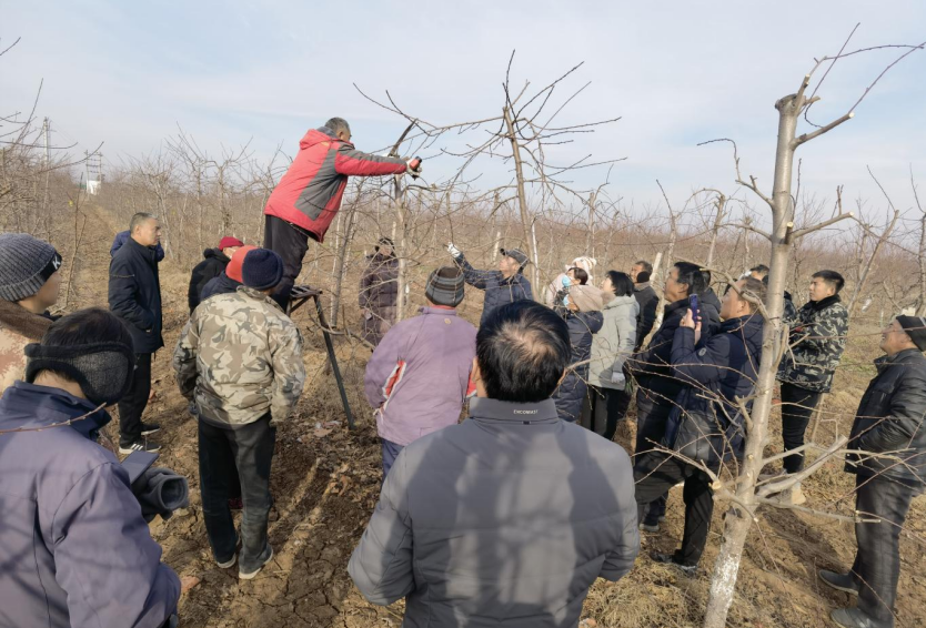 微信图片_20241227100314.png 微信图片_20241227100314.png