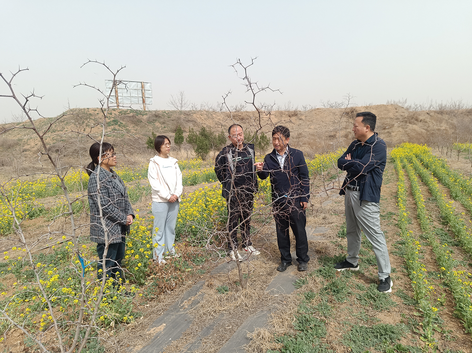 微信图片_20250401083723.png 微信图片_20250401083723.png